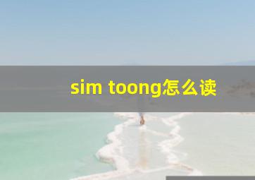 sim toong怎么读